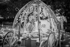 230713-FULL-0083-scaled